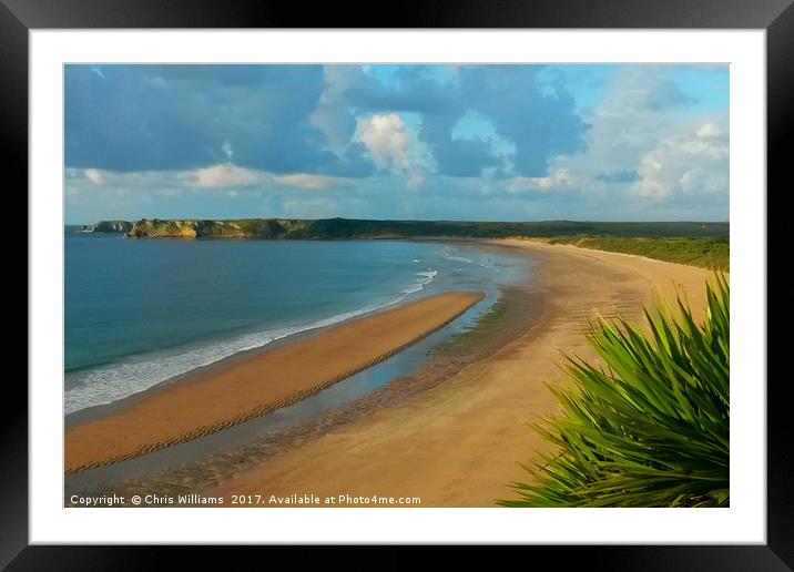 Tenby's Southern Sands Framed Mounted Print by Chris Williams