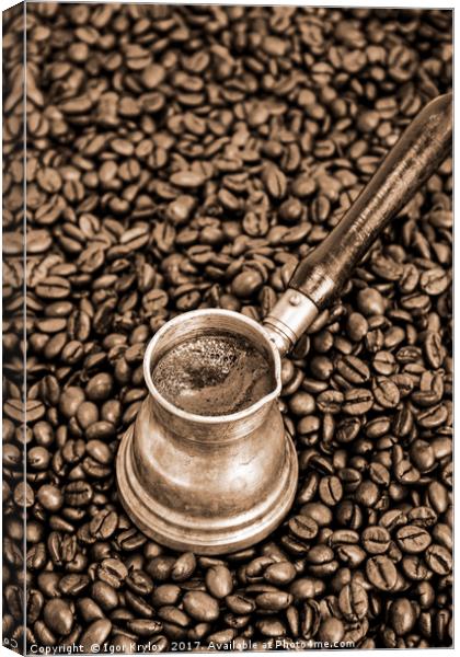 Hot foaming coffee Canvas Print by Igor Krylov