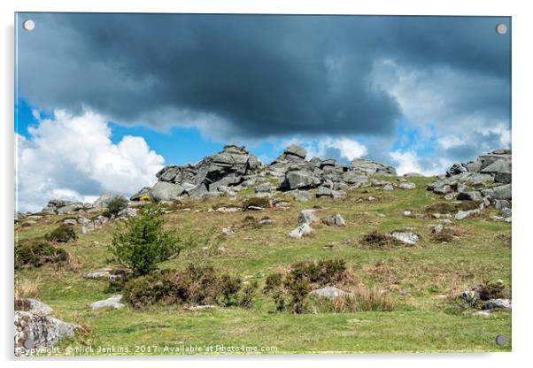 Bonehill Rocks on Dartmoor National Park Devon Acrylic by Nick Jenkins
