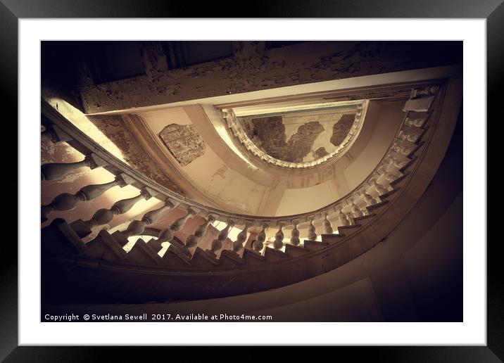 Looking Up Framed Mounted Print by Svetlana Sewell