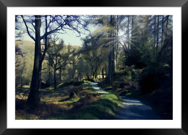 Colwith woodland Framed Mounted Print by Susan Tinsley