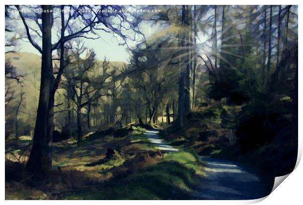 Colwith woodland Print by Susan Tinsley
