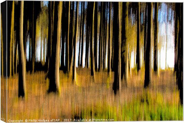 Forest of Dreams Canvas Print by Philip Hodges aFIAP ,