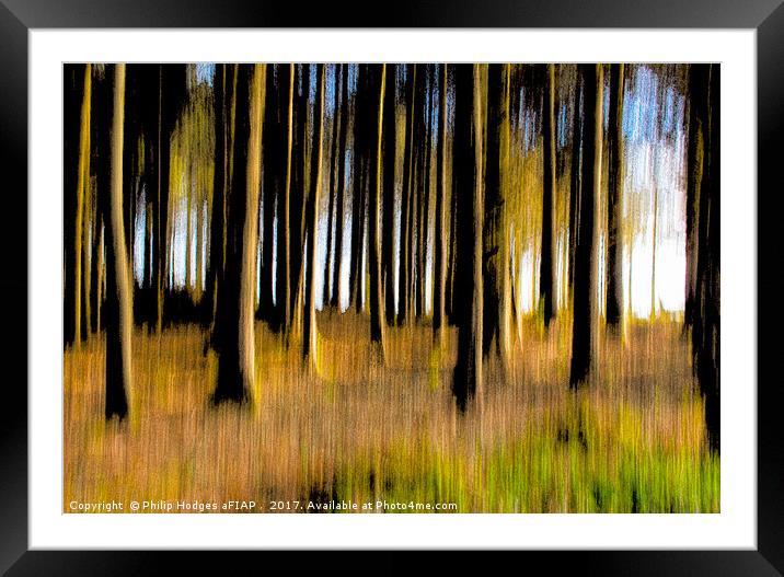 Forest of Dreams Framed Mounted Print by Philip Hodges aFIAP ,