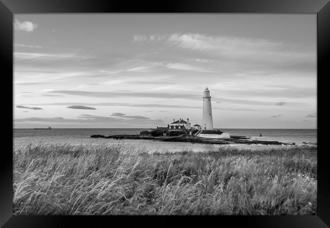 Twilight at St Mary's Lighthouse Mono Framed Print by Naylor's Photography