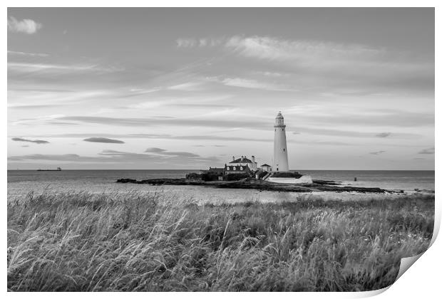 Twilight at St Mary's Lighthouse Mono Print by Naylor's Photography