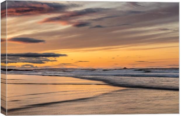 Golden glory at Bamburgh beach Canvas Print by Naylor's Photography