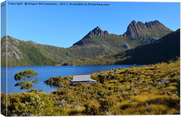 Dove Lake in Cradle Mountain National Park Canvas Print by Angus McComiskey