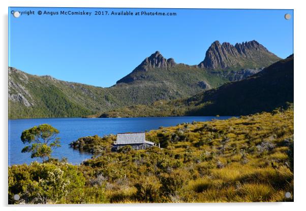 Dove Lake in Cradle Mountain National Park Acrylic by Angus McComiskey