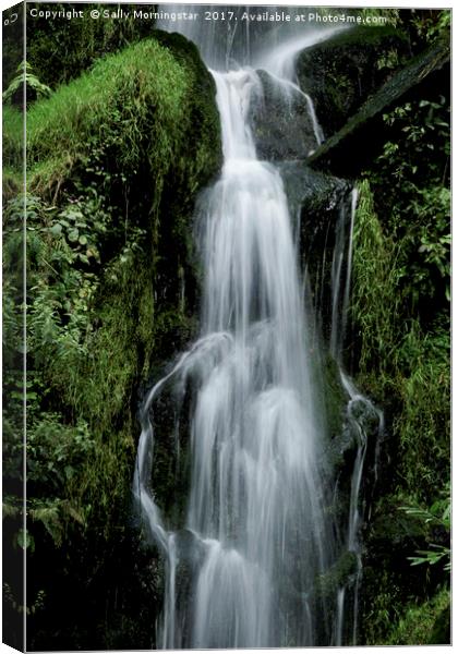 Falling Water Canvas Print by Sally Morningstar