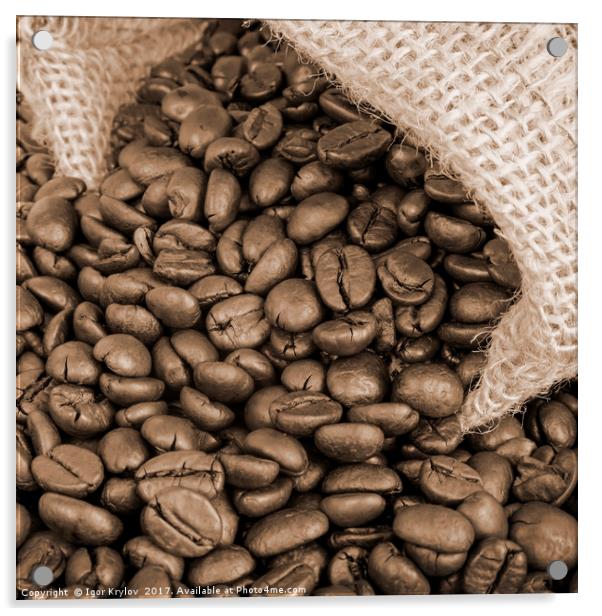 Coffee beans Acrylic by Igor Krylov