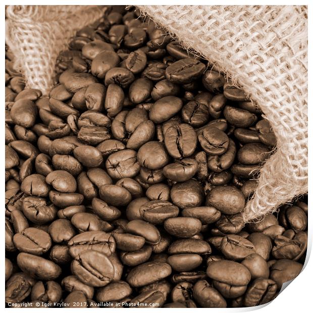 Coffee beans Print by Igor Krylov