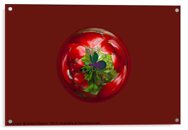  Butterfly Globe with red berries. Acrylic by Robert Gipson