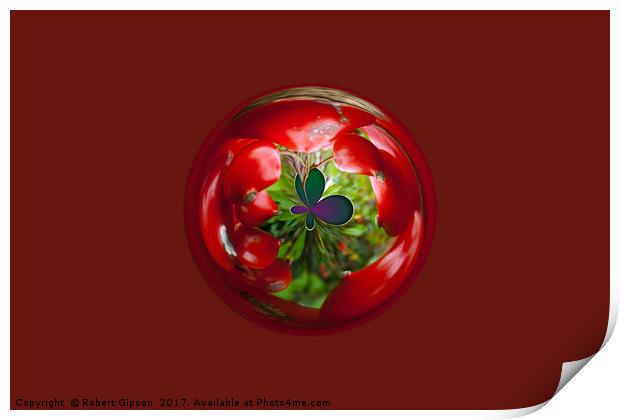  Butterfly Globe with red berries. Print by Robert Gipson