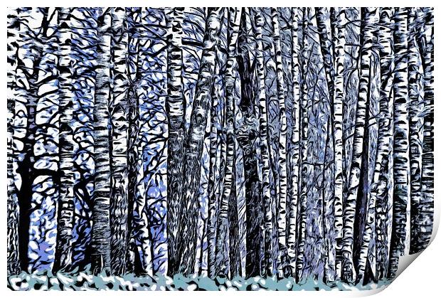 Birch Grove Print by Michael Goyberg