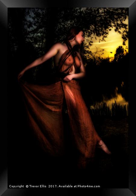 Dance into the Sunset Framed Print by Trevor Ellis