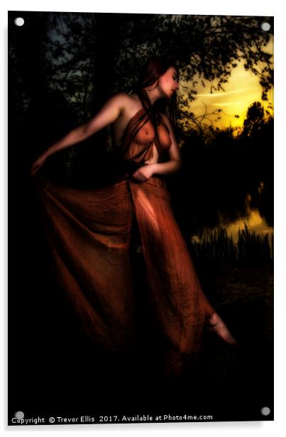 Dance into the Sunset Acrylic by Trevor Ellis
