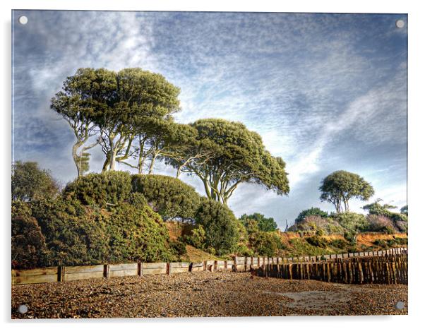 Lepe Beach Hampshire Acrylic by Louise Godwin