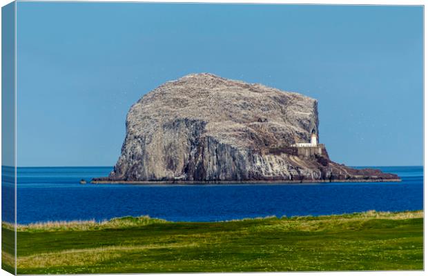 Bass Rock Canvas Print by Valerie Paterson