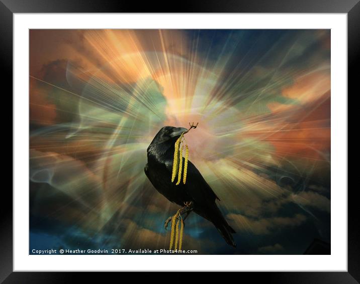 Raven's Treasure Framed Mounted Print by Heather Goodwin