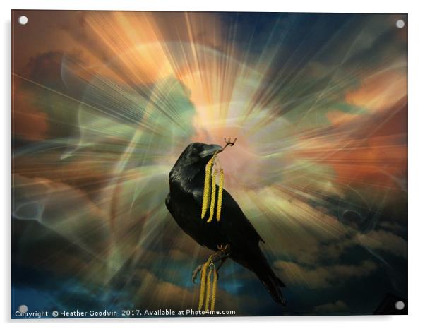 Raven's Treasure Acrylic by Heather Goodwin