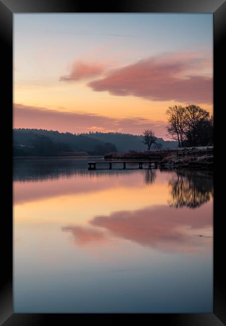 Dawn At The Old Millpond Framed Print by Wight Landscapes