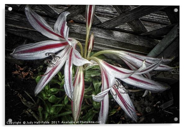 Striped Lilies Acrylic by Judy Hall-Folde