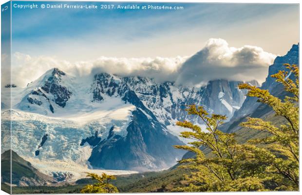 Snowy Andes Mountains, El Chalten Argentina Canvas Print by Daniel Ferreira-Leite