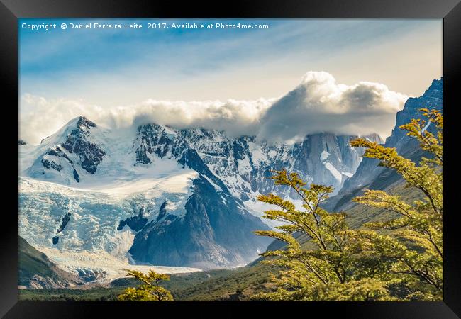 Snowy Andes Mountains, El Chalten Argentina Framed Print by Daniel Ferreira-Leite