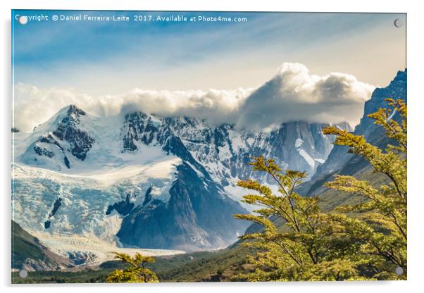 Snowy Andes Mountains, El Chalten Argentina Acrylic by Daniel Ferreira-Leite