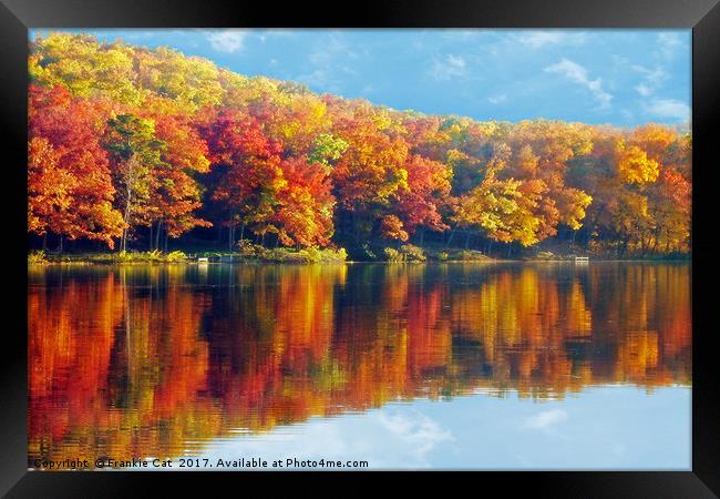 Autumn Colors at Lake Killarney  Framed Print by Frankie Cat