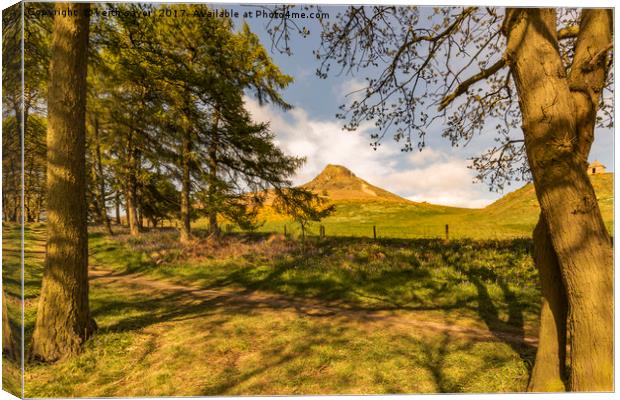 Through the trees to Roseberry Topping Canvas Print by keith sayer