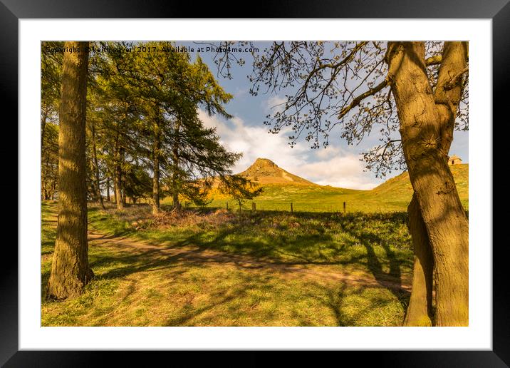 Through the trees to Roseberry Topping Framed Mounted Print by keith sayer