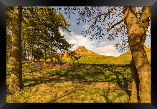 Through the trees to Roseberry Topping Framed Print by keith sayer