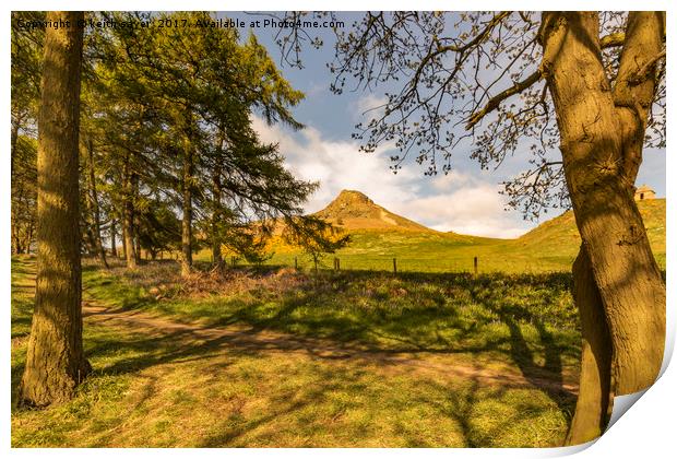 Through the trees to Roseberry Topping Print by keith sayer