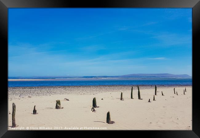 Sandy Sticks Framed Print by Chris Williams