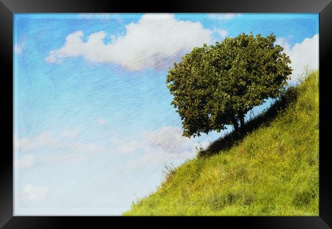 The tree on the hill (var 2) Framed Print by Michael Goyberg