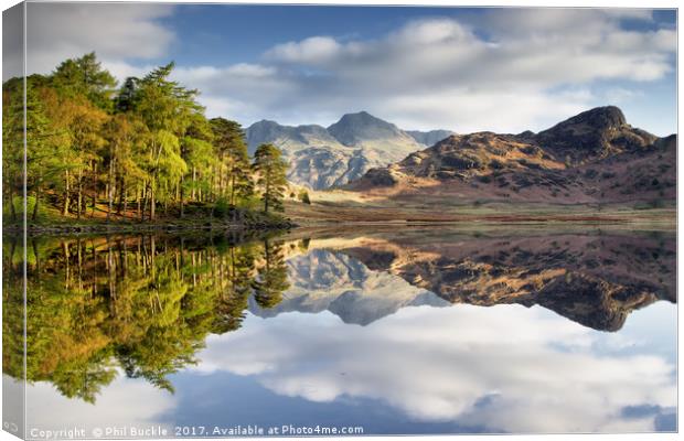The Langdale Pikes Reflecting Canvas Print by Phil Buckle