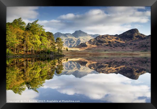 The Langdale Pikes Reflecting Framed Print by Phil Buckle
