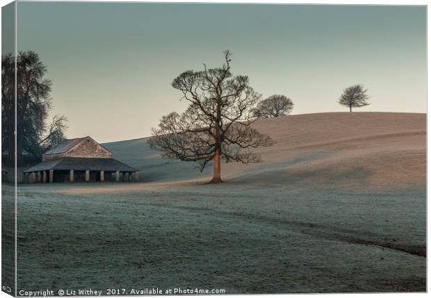 Deer Shelter, Milnthorpe, Cumbria Canvas Print by Liz Withey
