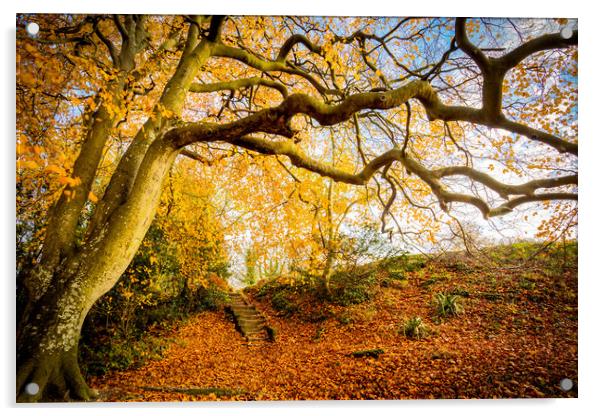 Golden Autumn Colours Acrylic by Wight Landscapes