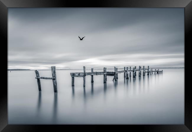 The Jetty BW Framed Print by Wight Landscapes