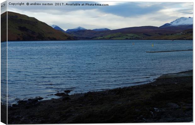 LOCH LOOKING Canvas Print by andrew saxton