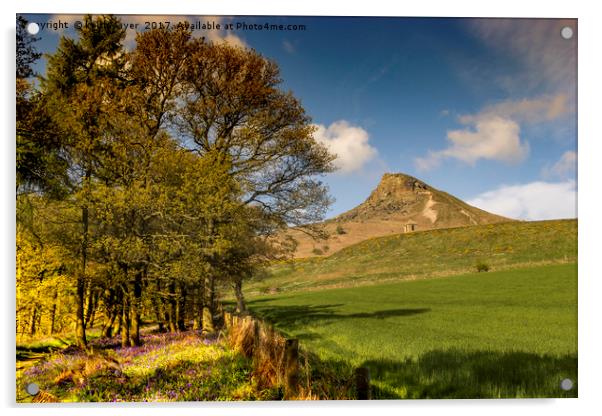 Roseberry Topping Acrylic by keith sayer