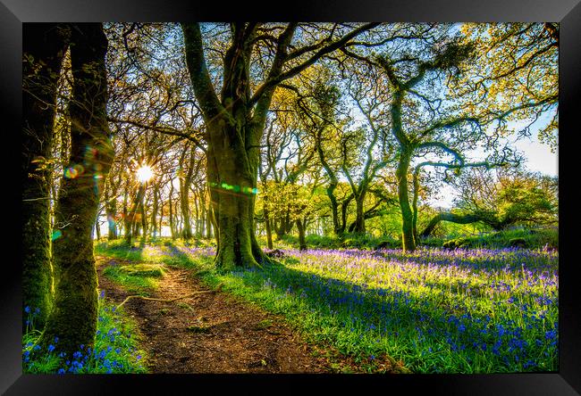 Early morning walk in paradise Framed Print by Sean Clee