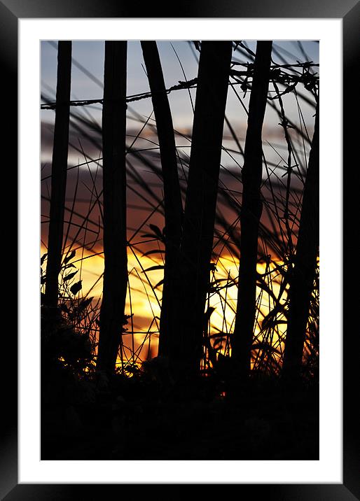 Hot sunset Framed Mounted Print by Alexia Miles