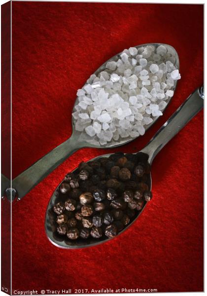 Peppercorns and Rocksalt Canvas Print by Tracy Hall