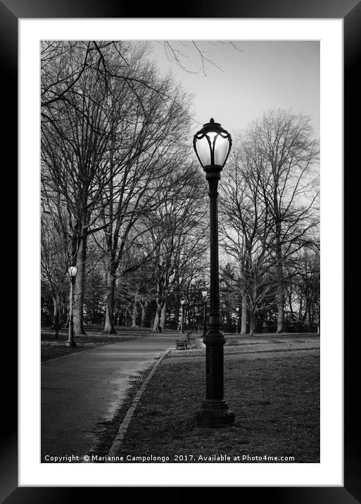 Central Park Streetlamps in black and white Framed Mounted Print by Marianne Campolongo