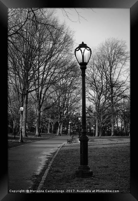 Central Park Streetlamps in black and white Framed Print by Marianne Campolongo