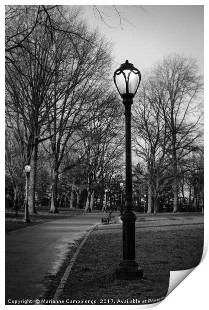 Central Park Streetlamps in black and white Print by Marianne Campolongo